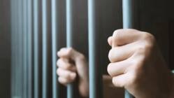 क्या है देश में समय पूर्व कैदियों की रिहाई से जुड़ा कानून?