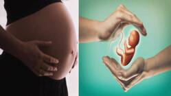 क्या है हमारे देश में सरोगेसी को लेकर कानूनी प्रावधान ?