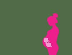 महिला को गर्भपात चुनने का अधिकार, मेडिकल बोर्ड को नहीं - Bombay High Court