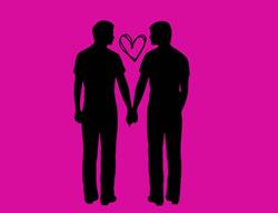 दिल्ली हाई कोर्ट ने समलैंगिक विवाहों की मान्यता से संबंधित याचिकाओं को सुप्रीम कोर्ट में स्थानांतरित किया