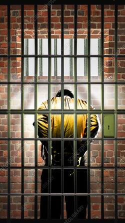 जानिए किस प्रक्रिया के तहत पुलिस स्टेशन से मिलती है जमानत