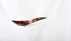 Voyeurism: किसी महिला को छिप कर देखना भी अपराध है, सजा हो सकती IPC की इस धारा के तहत