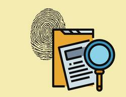 Indian Evidence Act में सह अपराधी द्वारा दिया गया साक्ष्य भरोसे लायक क्यों नहीं होता