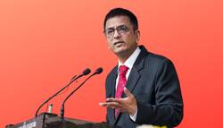 बच्चे पैदा करना एक विकल्प है और महिलाओं को उस जिम्मेदारी के लिए दंडित नहीं किया जाना चाहिए: CJI