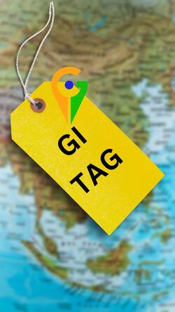 GI Tag क्या होता है और किसे दिया जाता है?
