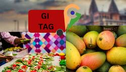 बनारसी पान, लंगड़ा आम को मिला GI Tag, भारत में कौन जारी करता है यह टैग?
