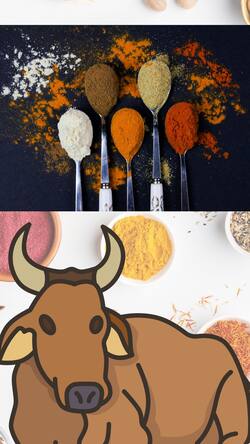 भारतीय मसालों में गोमूत्र होने का दावे करने वाली वीडियो पर Delhi HC का बड़ा आदेश