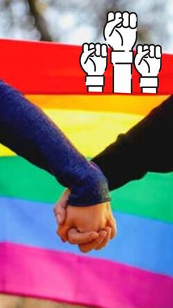 समलैंगिक विवाहों का इन राज्यों ने किया विरोध