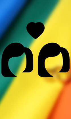 समलैंगिक विवाह का मामला कैसे पहुंचा सुप्रीम कोर्ट