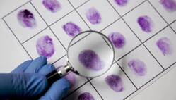 Prima Facie Evidence क्या है, इसका सिविल और क्रिमिनल मामलों में कितना महत्व है?