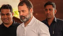 Rahul Gandhi को Patna High Court से बड़ी राहत, MP-MLA कोर्ट के आदेश पर रोक रहेगी जारी