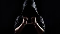 साइबर क्राइम के अपराधी को यमुनानगर जिला कोर्ट ने पुलिस रिमांड में भेजा, जानिए पूरा मामला