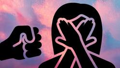 IPC की धारा 498 के तहत विवाहित महिला के साथ होने वाली क्रूरता पर क्या है सजा?