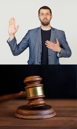 कौन बनता है सरकारी गवाह? जानिये कानूनी प्रावधान