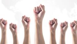 सूचना का अधिकार के तहत घर बैठे कैसे फाइल हो सकती है Online याचिका, जानिए