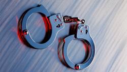 हाई कोर्ट ने हरियाणा के आईएएस अधिकारी विजय दहिया की अग्रिम जमानत अर्जी खारिज की