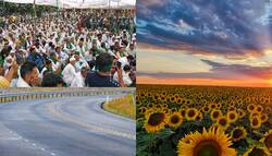 हरियाणा सरकार को हाई कोर्ट ने दिया आदेश, कहा 'हर हाल में खुला रहे NH 44'