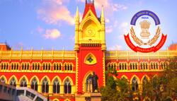 बंगाल पंचायत चुनाव: Calcutta High Court ने नामांकन पत्रों में छेड़छाड़ की CBI जांच का आदेश रद्द किया
