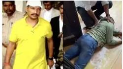 अदालत ने गैंगस्टर संजीव माहेश्वरी जीवा हत्याकांड की सीबीआई से जांच सम्बन्धी याचिका की खारिज