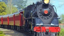 दिव्यांगों के लिए अलग पहचान पत्र जारी करने के रेलवे के फैसले में Delhi High Court ने दखल देने से किया इनकार