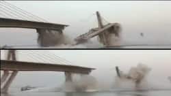 बिहार के भागलपुर जिले में गंगा नदी पर निर्माणाधीन पुल के गिराने पर पटना हाईकोर्ट ने राज्य सरकार से मांगी रिपोर्ट