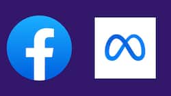 फेसबुक को कर्नाटक उच्च न्यायालय की चेतावनी, सहयोग न करने पर बंद हो सकता है संचालन