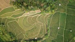 दाखिल ख़ारिज क्या होता है? यह प्रक्रिया भूमि के क्रय या विक्रय में कितनी है जरुरी?