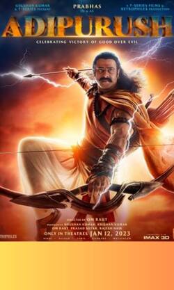 आदिपुरुष मेकर्स पर भड़का कोर्ट 'हिंदुओं को टेस्ट क्यों करना?'