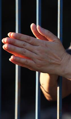 एक साल की सजा और 85-वर्षीय दोषी ने मांगी 39 साल बाद जमानत!