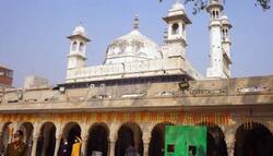 Gyanvapi Case: वाराणसी कोर्ट द्वारा ASI सर्वेक्षण के निर्देश पर इलाहाबाद हाईकोर्ट में कैविएट याचिका दायर