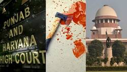 आठ दोषी, मर्डर एक, सजा अलग-अलग! पंजाब हरियाणा उच्च न्यायालय के 'अजीब' फैसले पर सुप्रीम कोर्ट दंग!