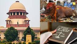Supreme Court का गोवंश के वध पर प्रतिबंध लगाने का निर्देश देने से इनकार, कहा 'विधायिका करें फैसला'