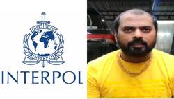 Gangs of Wasseypur के मोस्ट वांटेड Prince Khan के खिलाफ जारी हुआ रेड और ब्लू कॉर्नर नोटिस