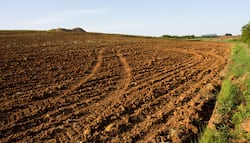 जमीन की रजिस्ट्री रद्द कराने का प्रावधान क्या है?  Property Act इसे लेकर क्या कहती है, जानिए