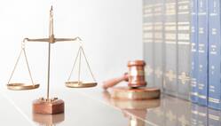 MC Mehta  को भारत का हरित अधिवक्ता क्यों कहा जाता है?