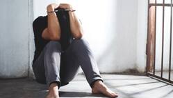 पैरोल क्या और इसे किन परिस्थितियों में रद्द किया जा सकता है?