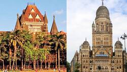 त्योहारों के दौरान पंडाल लगाकर सड़कों को नुकसान पहुंचाने वालों के प्रति BMC सख्ती बरते: Bombay High Court