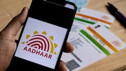 प्राइवेट स्कूलों में EWS एडमिशन के लिए Aadhaar को अनिवार्य बनाने वाला सर्कुलर निलंबित, High Court ने कहा- ये निजता का उल्लंघन
