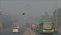 Delhi Air Pollution: हर जिले में प्रदूषण नियंत्रण आयोग बनाए जाने की मांग सुप्रीम कोर्ट ने क्यों ठुकराई?