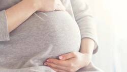 क्या सरोगेसी से बच्चा लेने वाली मां है मातृत्व अवकाश की हकदार? राजस्थान HC का अहम फैसला