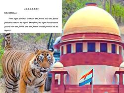 Jim Corbett: ‘A nexus between Politician and Bureacrats’: Supreme Court ने जिम कार्बेट में पेड़ों की काटने पर ऐसा क्यों कहा?