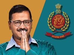 Delhi Excise Policy Case: अरविंद केजरीवाल की जमानत पर दिल्ली HC ने लगाई रोक, ED की बड़ी जीत
