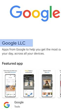 Google LLC के नाम में LLC का क्या है?