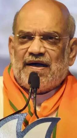 अमित शाह फेक वीडियो मामले में कोर्ट ने क्या कहकर आरोपी को जमानत दी?