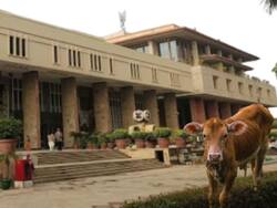 'लैंडफिल साइट के निकट बनी डेयरियों को तुरंत हटाएं', हाईकोर्ट ने दिल्ली के मुख्य सचिव दिए निर्देश