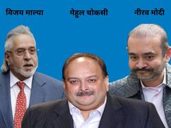 PMLA के आरोपी के विदेश जाने की मांग का ED ने किया विरोध, तो मुंबई कोर्ट ने नीरव मोदी, विजय माल्या का हवाला दे दिया