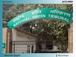 सड़क किनारे अंधाधुंध कंक्रीट बिछाने व पार्क बनाने से जैव विविधता को छति पहुंचाने का दावा, याचिका पर NGT ने सरकार से मांगा जवाब 