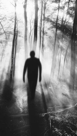 ब्लैक एंड व्हाइट पिक्चर की स्वीकृति पर सुप्रीम कोर्ट ने लगाया रोक!