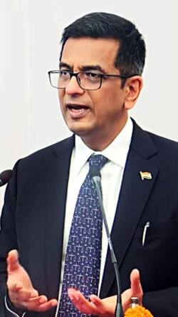 जज के 'पाकिस्तान' वाली टिप्पणी पर CJI ने दी प्रतिक्रिया, जानें क्या कहा?