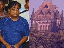 व्यवसायी की हत्या मामले में छोटा राजन को जमानत, बॉम्बे हाईकोर्ट ने उम्रकैद की सजा पर भी लगाई रोक